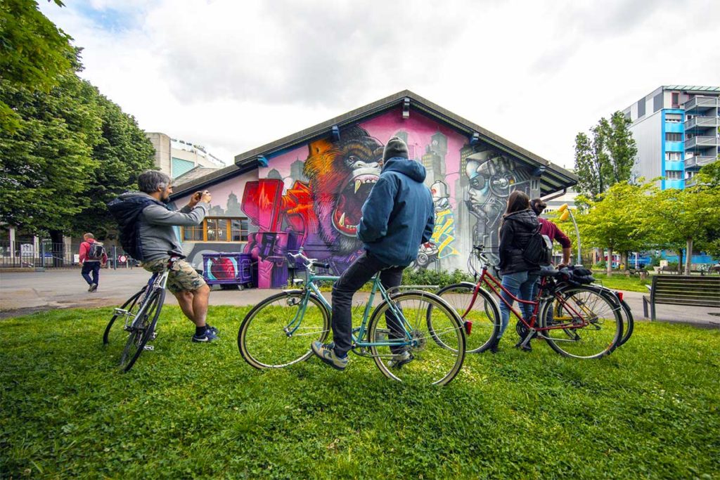 Outdoor activity, bikes and local guide