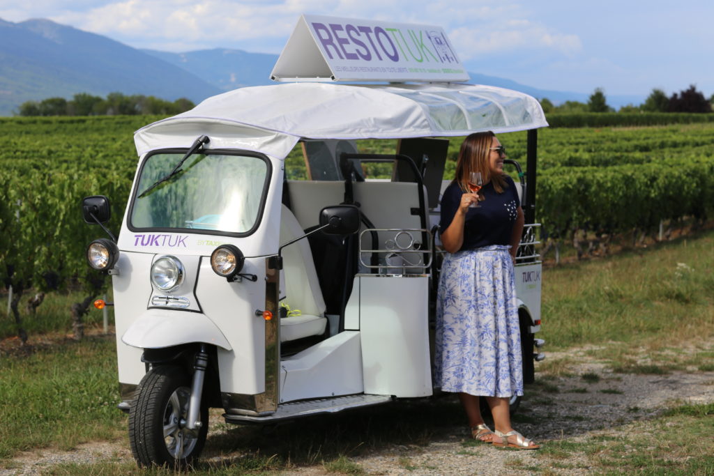 Vineyard tour and visit the best of Geneva