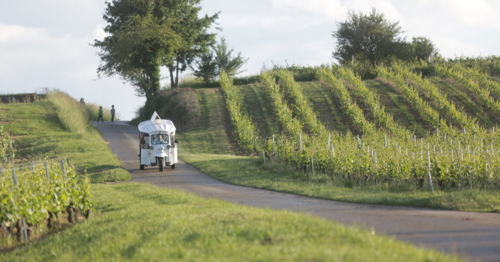 Balade Tour Touren TukTuk Vignoble Winery Wein