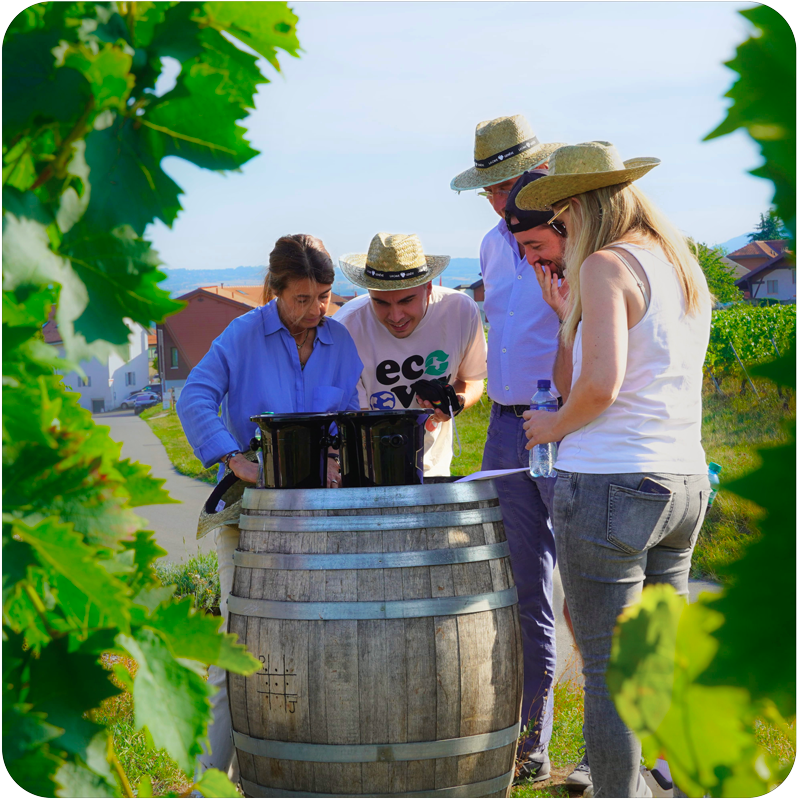 Escape Game dans les vignobles genevois