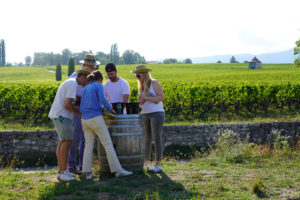 Activité d'Escape Game dans les vignes.