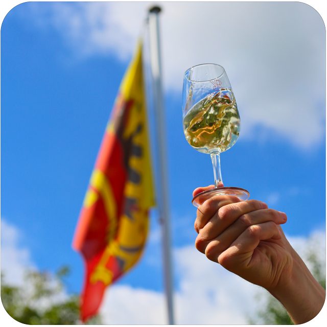 Dégustation des vins locaux genevois.