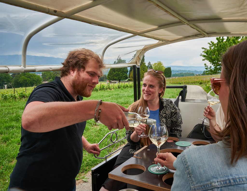 Tour sightseeing vineyards geneva