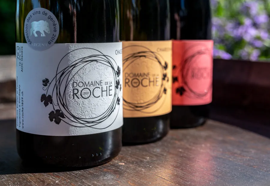 Fondue
Vin
Vignoble
Noël
Dégustation
Tradition
Convivialité
Hiver
Festif
Équipe
TukTuk
Fromage
Raclette
Visite
Domaine