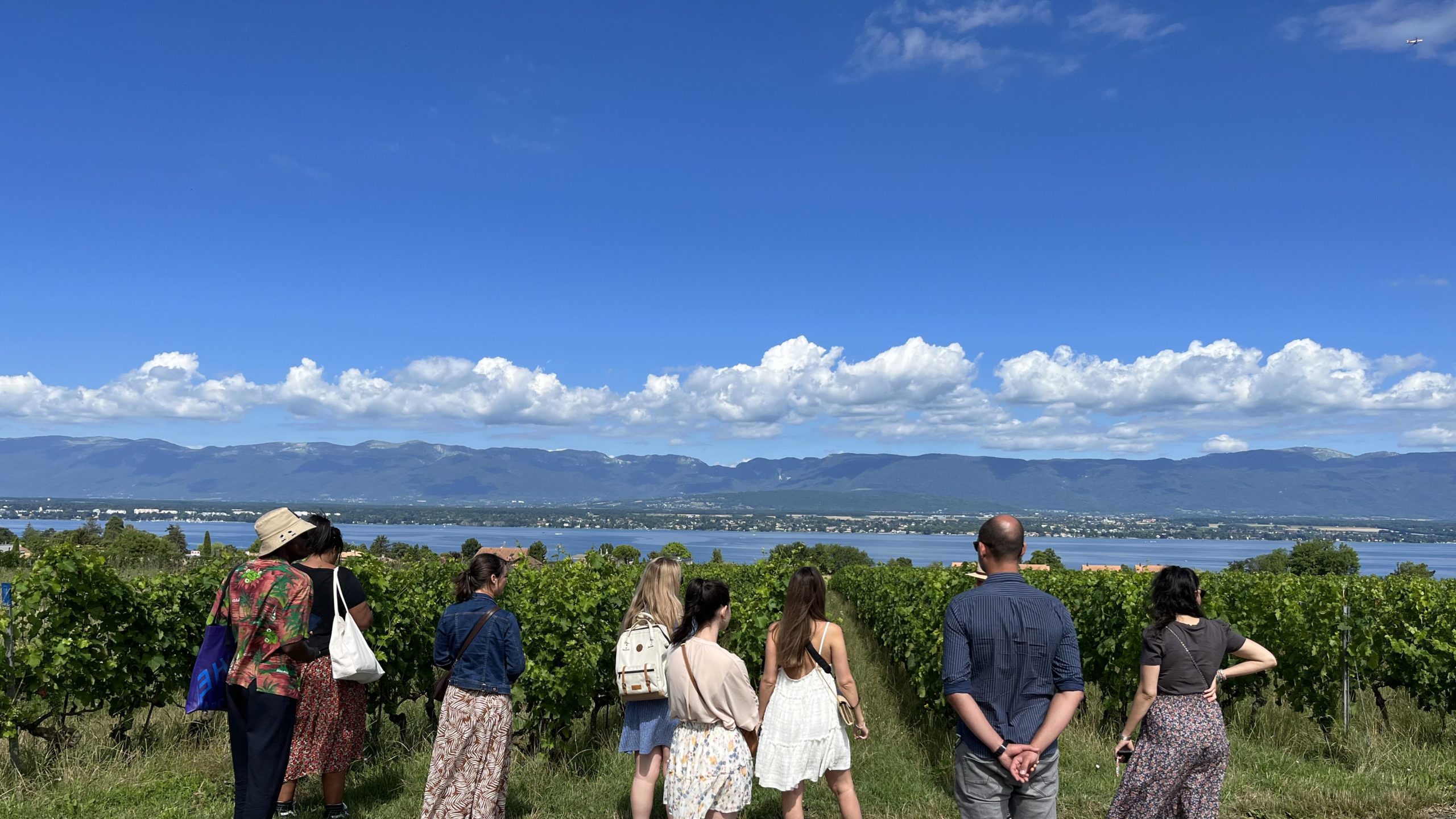 dégustation vin
dégustation vin geneve