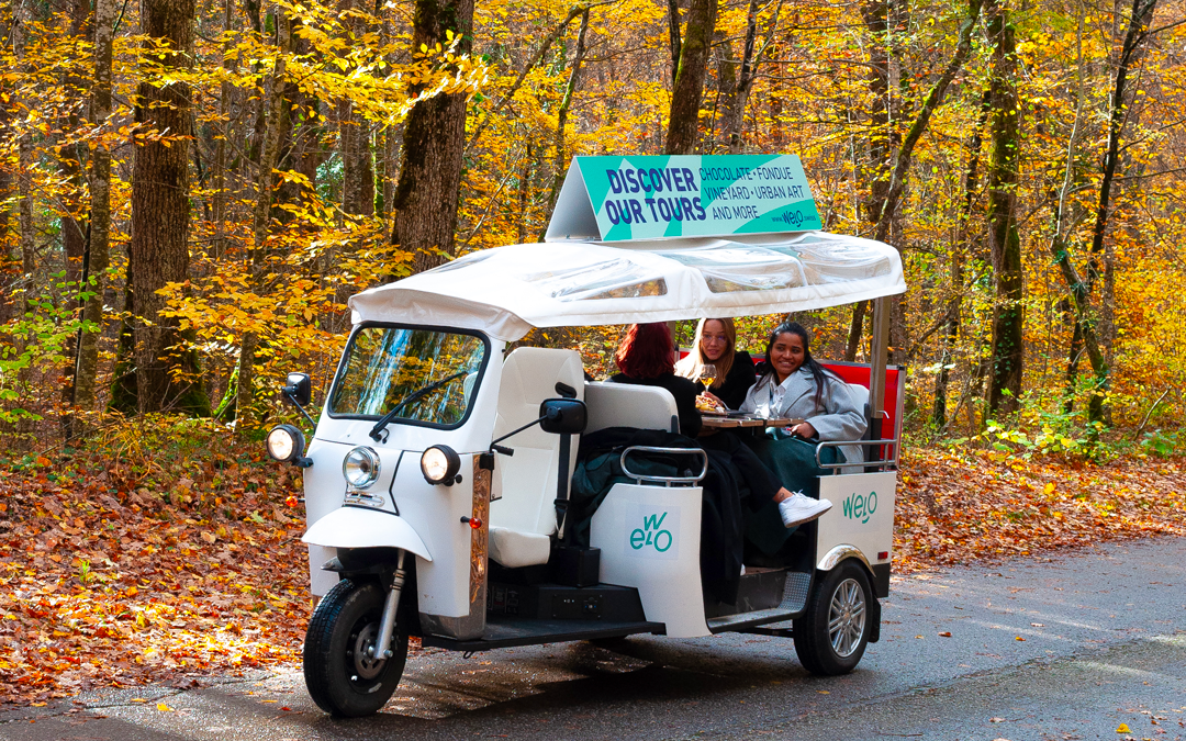 tour country side geneva tuktuk wine terroir balade culture chesse